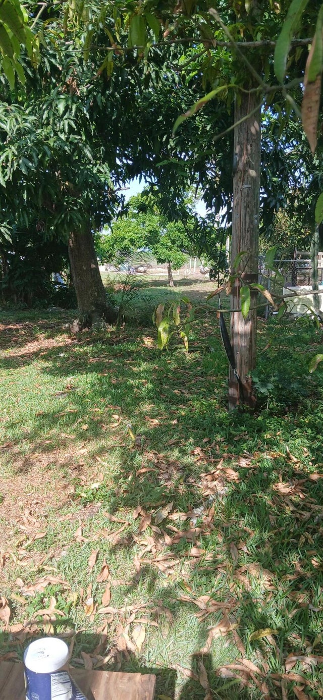 5 of 7 - 1709 Nw Avenue G Avenue, Belle Glade, FL
