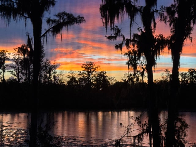 5 of 51 - 17936 Adrift Road, Winter Garden, FL