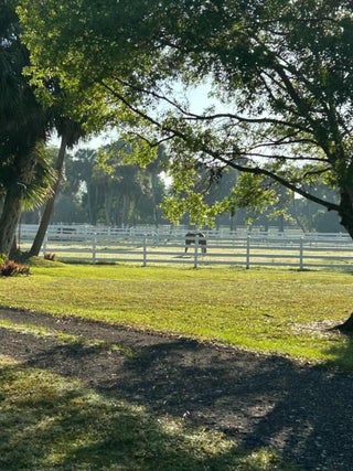 Photo of Listing #RX-11110122