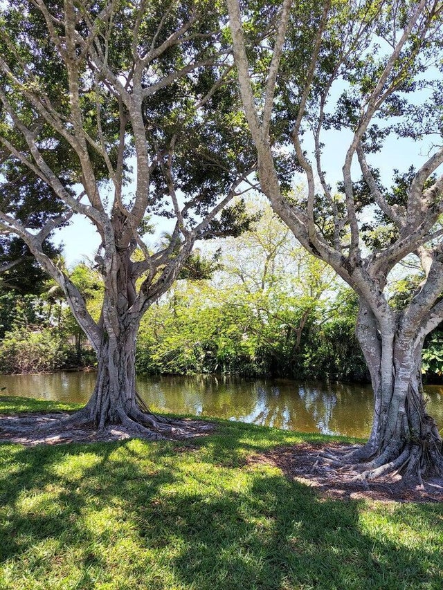 3 of 27 - 12019 W Greenway Dr #203, Royal Palm Beach, FL