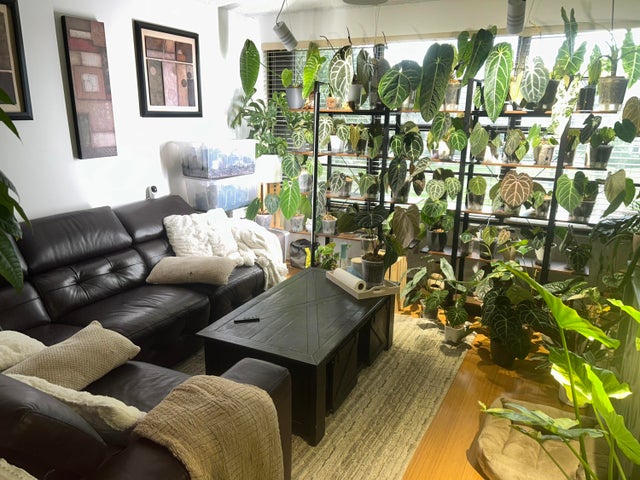 2 of 39 - 3511 Village Boulevard #302, West Palm Beach, FL