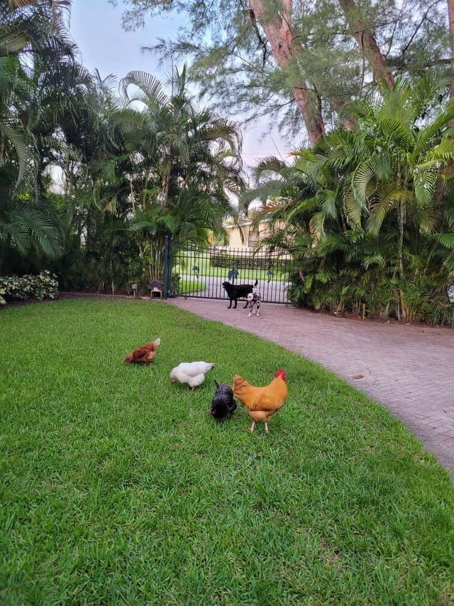 2 of 18 - 4015 Gem Lake Drive, Glen Ridge, FL