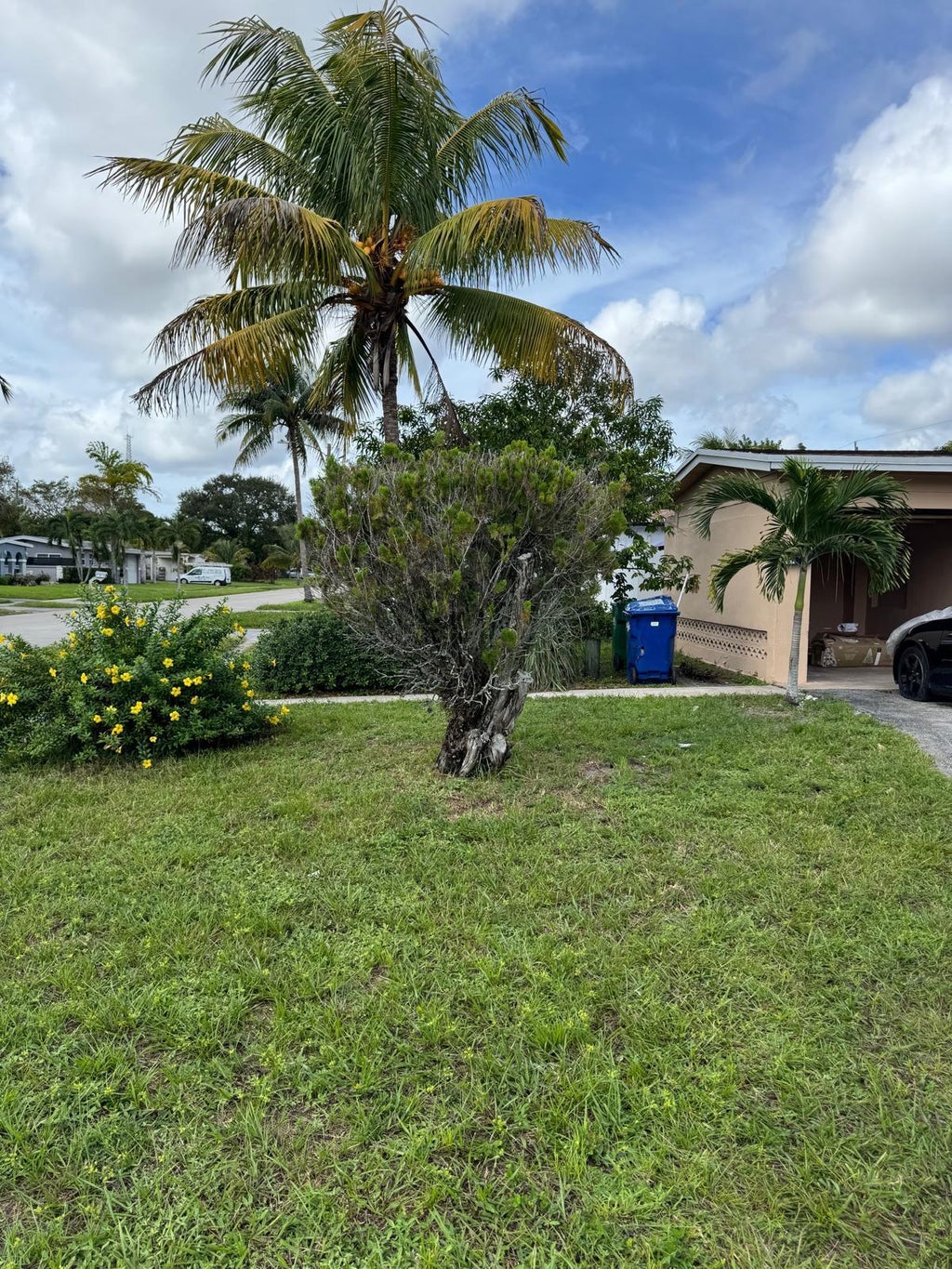 N/A, Lauderhill