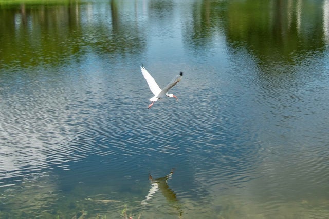 2 of 28 - 2085 Wolverton E #2085, Boca Raton, FL