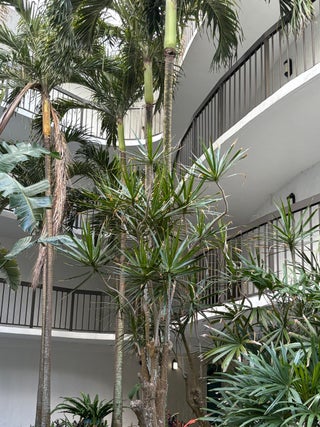 Photo of Listing #RX-11145555