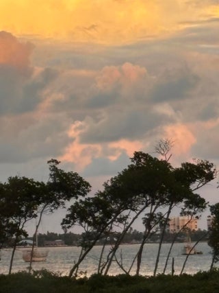 Photo of Listing #RX-11153905