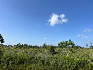 Photo of Listing #RX-10911715