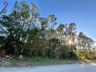 Photo of Listing #RX-10947175