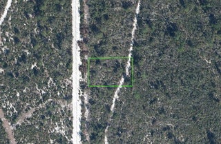 Photo of Listing #RX-10955847