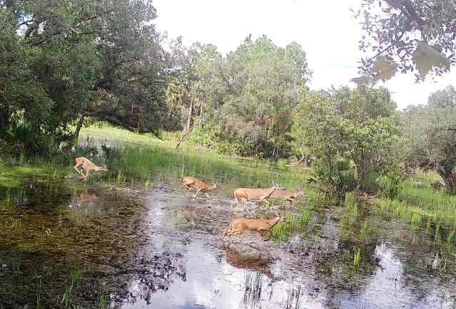 2 of 8 - 10364 W State Road 78, Moore Haven, FL