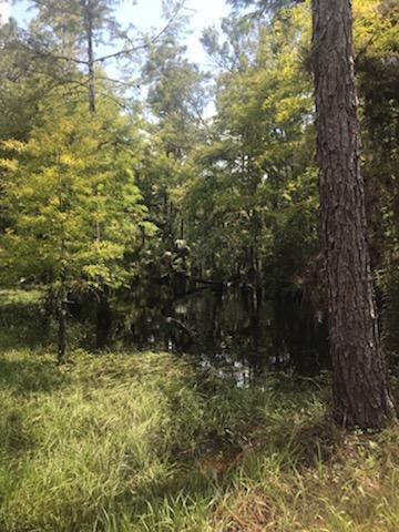3 of 8 - 10364 W State Road 78, Moore Haven, FL