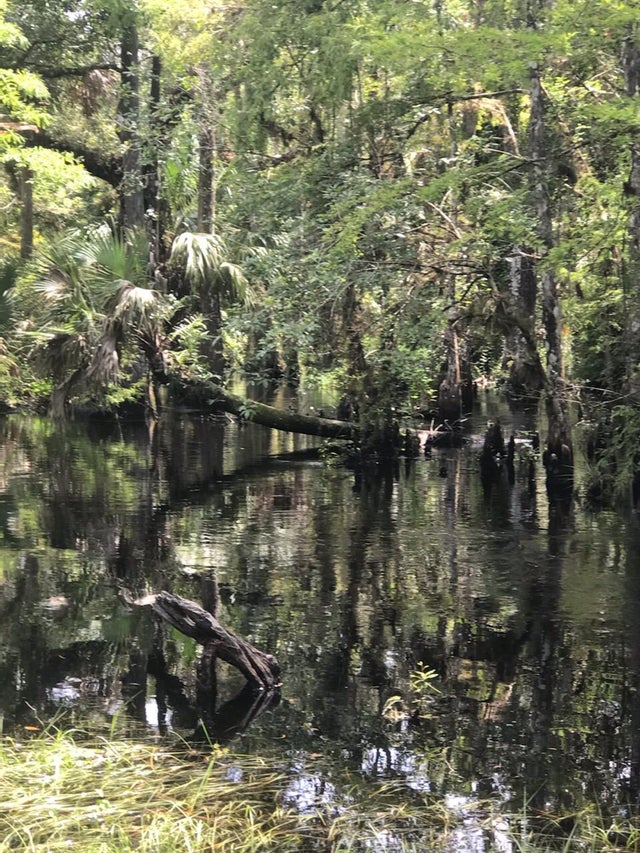 5 of 8 - 10364 W State Road 78, Moore Haven, FL