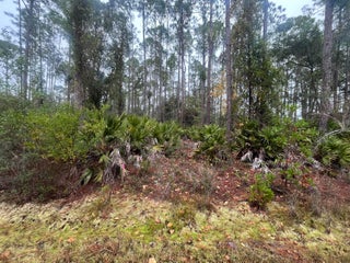 Photo of Listing #RX-10989931