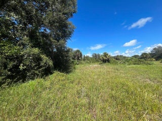 Photo of Listing #RX-11008572