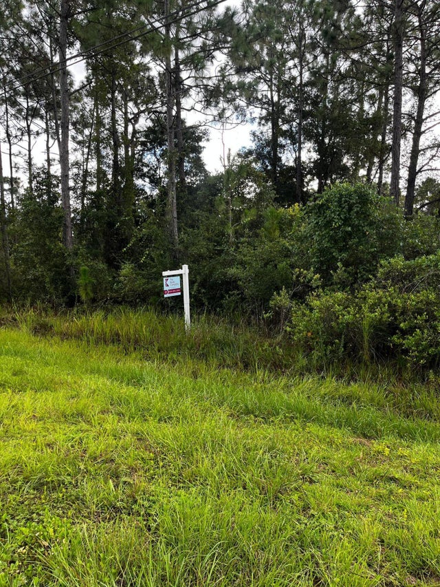 Sabal St, Orlando