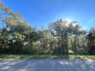 Photo of Listing #RX-11040000