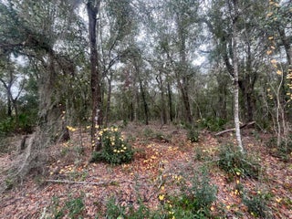 Photo of Listing #RX-11047751