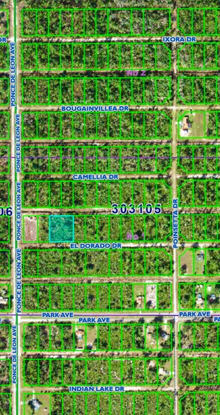 Photo of Listing #RX-11053288