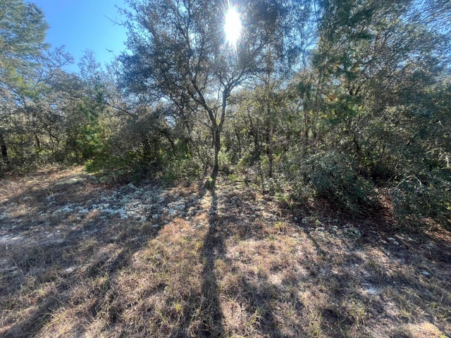 5 of 16 - 13589 Sw 27th Circle, Ocala, FL