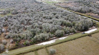 Photo of Listing #RX-11054927