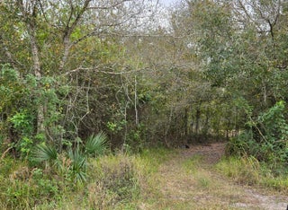 Photo of Listing #RX-11055391