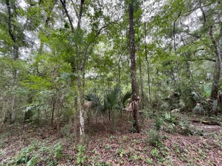 Photo of Listing #RX-11061364