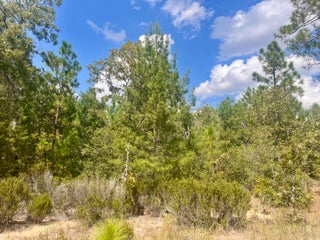 Photo of Listing #RX-11062573