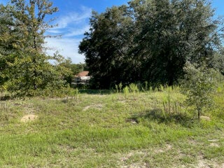 Photo of Listing #RX-11065840