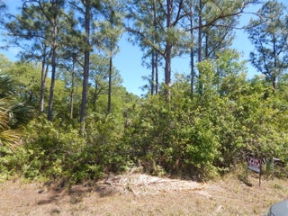 Photo of Listing #RX-11071008