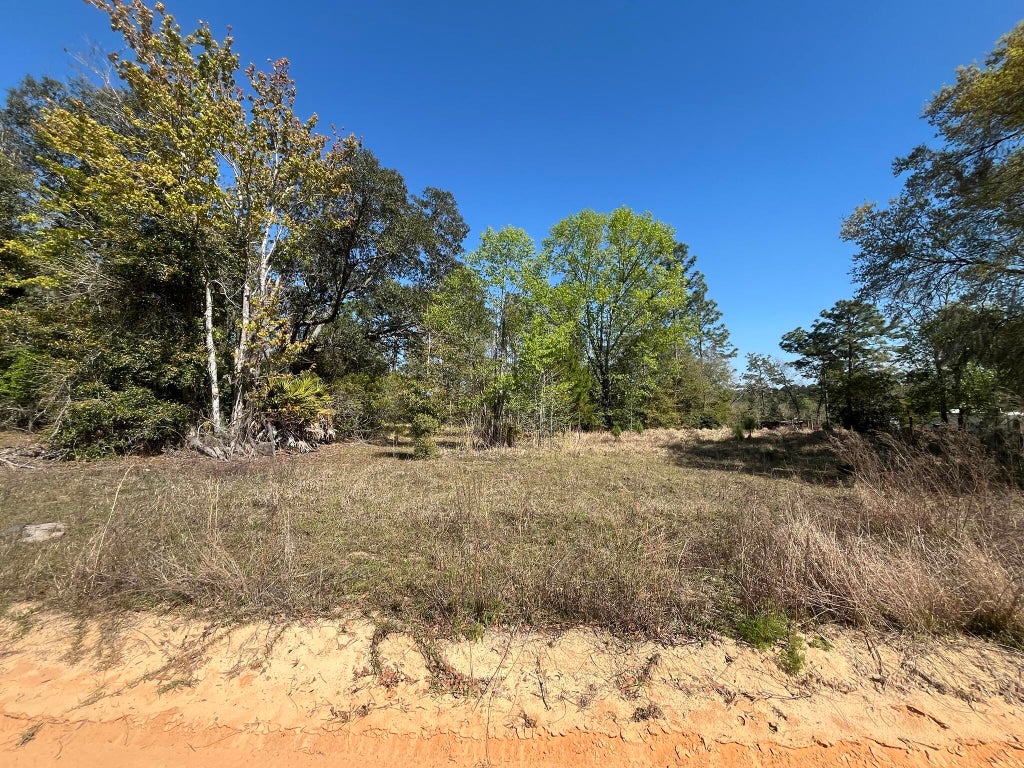 140 Hudson Trail, Interlachen
