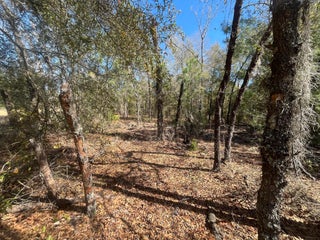 Photo of Listing #RX-11073883