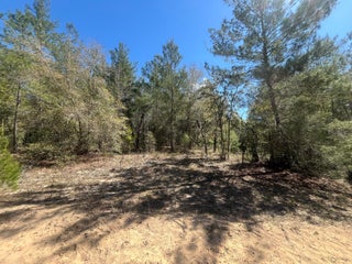 Photo of Listing #RX-11073912