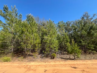 Photo of Listing #RX-11073944