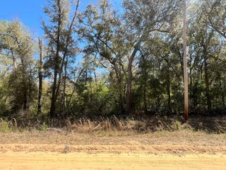 Photo of Listing #RX-11075656