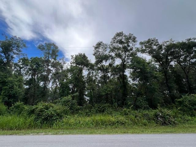 3 of 3 - 3307 E Lee Drive, Inverness, FL
