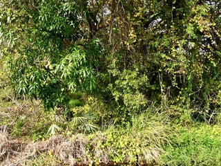 Photo of Listing #RX-11082816