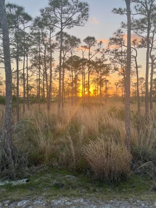 Photo of Listing #RX-11084903