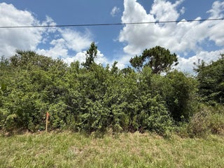 Photo of Listing #RX-11090034