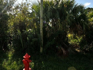 Photo of Listing #RX-11090946