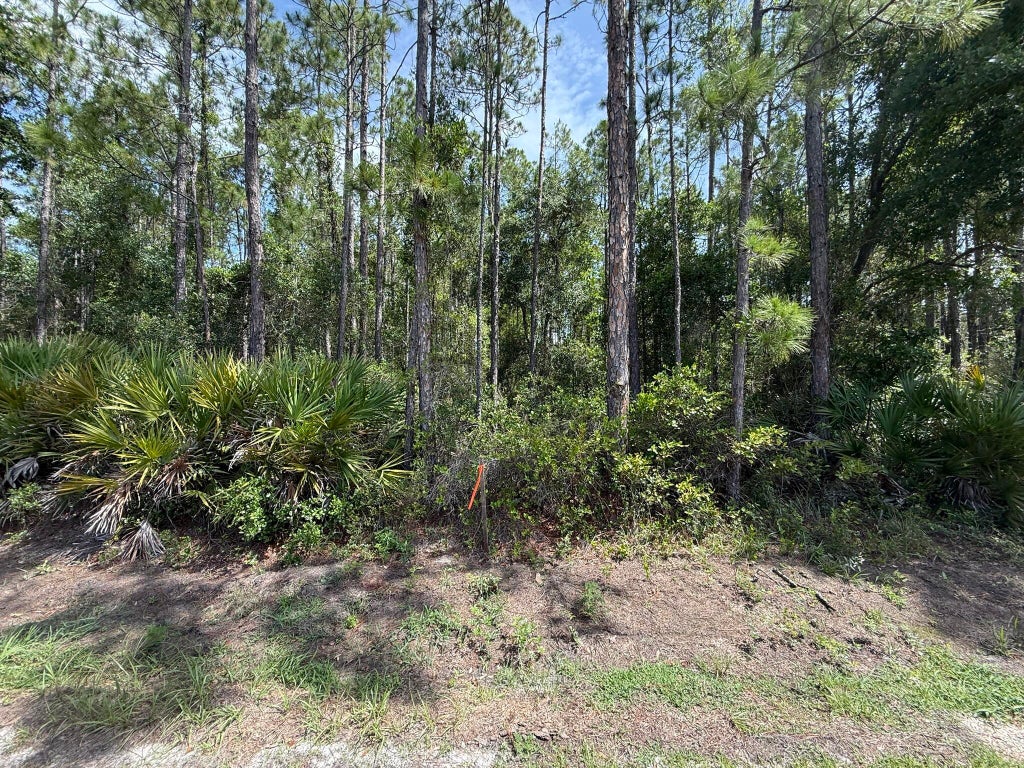 178 Millican Road, Palatka