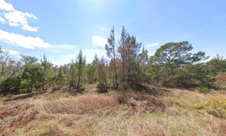 Photo of Listing #RX-11091382