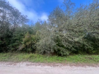Photo of Listing #RX-11095115