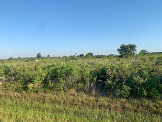 Photo of Listing #RX-11095127