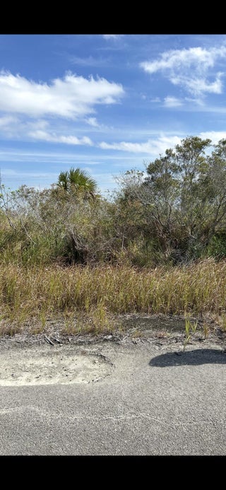 Photo of Listing #RX-11096069