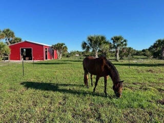 Photo of Listing #RX-11097752