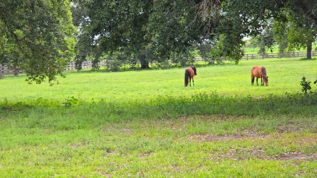 2 of 51 - 4567 State Road 710, Okeechobee, FL