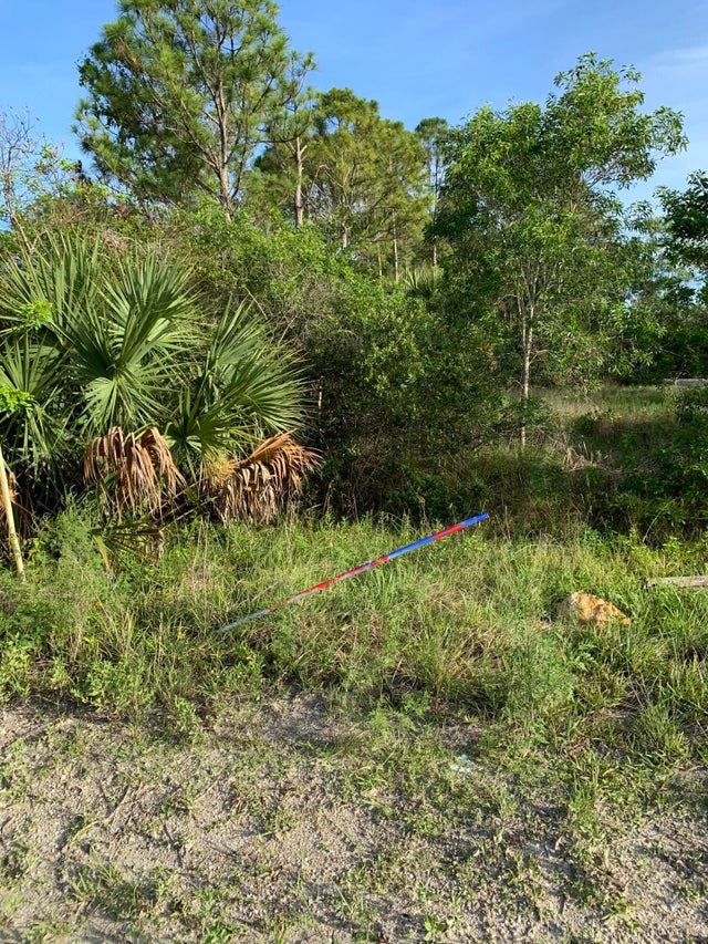 Photo of Listing #RX-11099361