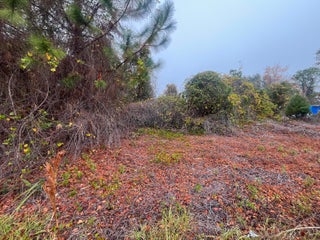 Photo of Listing #RX-11100189