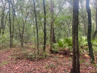 Photo of Listing #RX-11100413