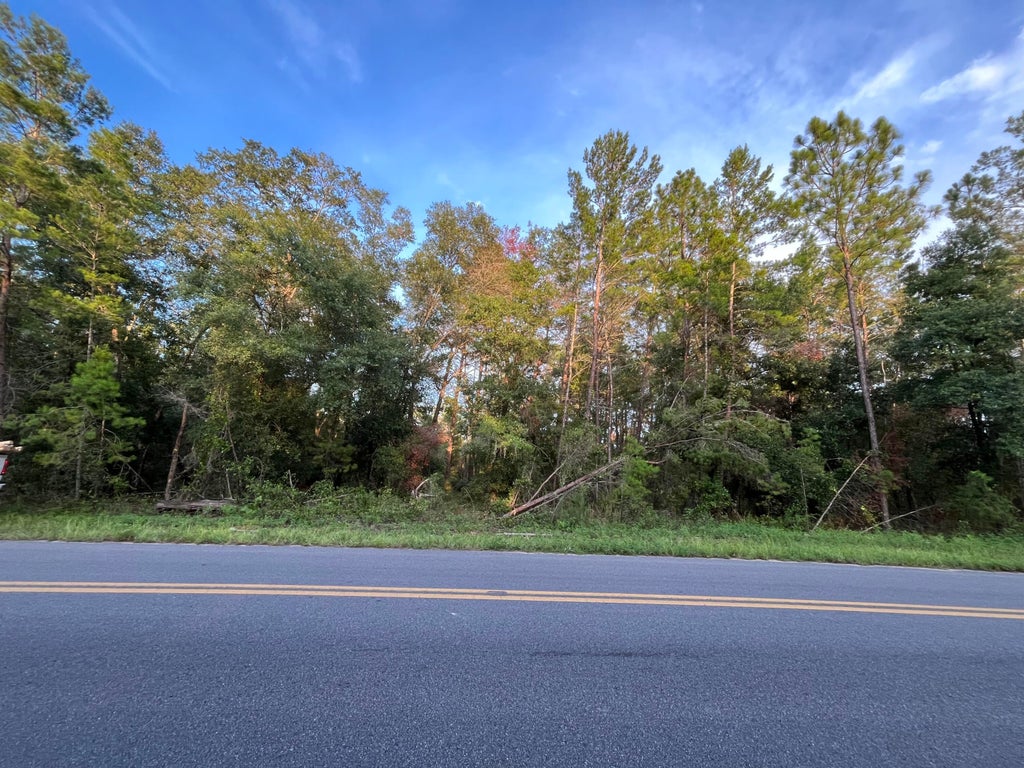 Tbd Twin Lakes Road, Interlachen
